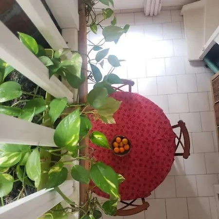 Petite Maison Climatisee A 2 Pas De La Mer