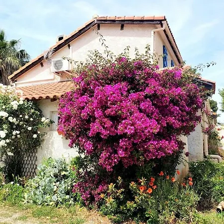 Petite Maison Climatisee A 2 Pas De La Mer * Six-Fours-les-Plages